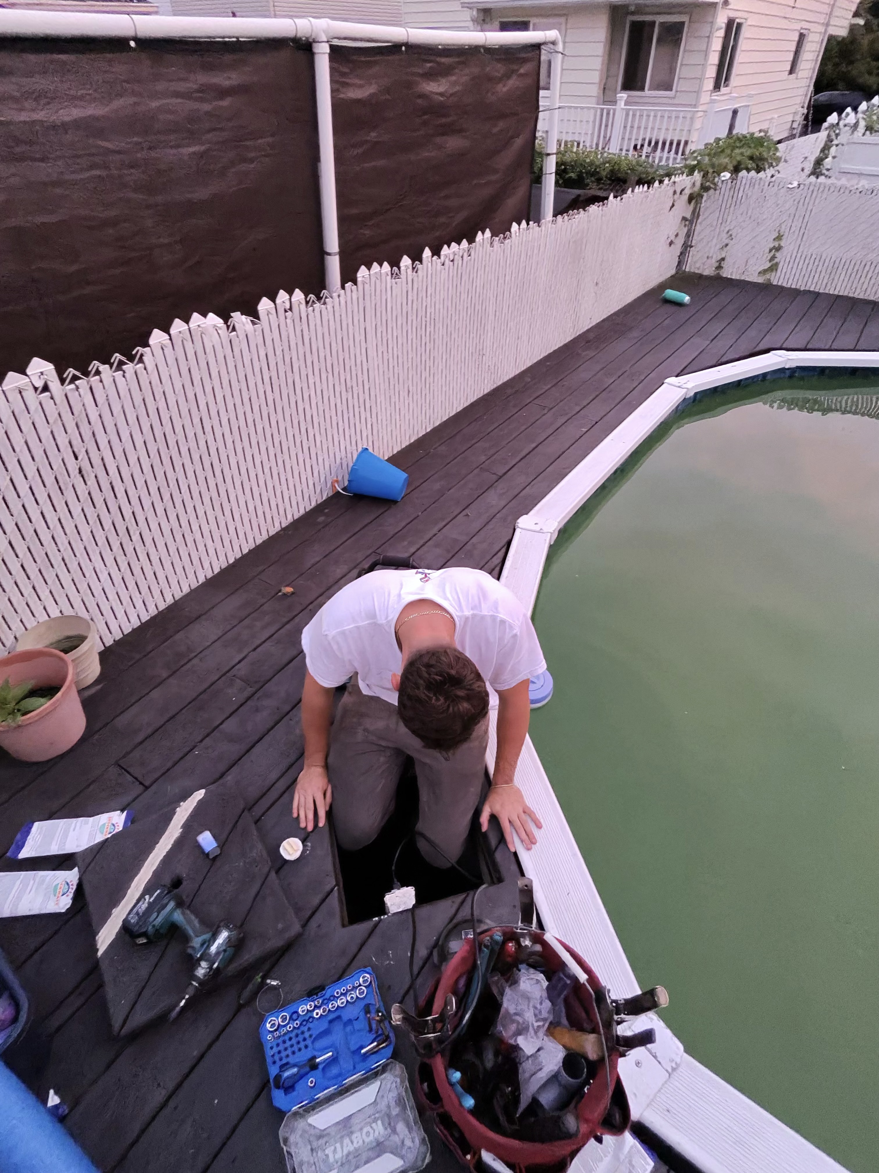 Backyard pool after professional cleaning