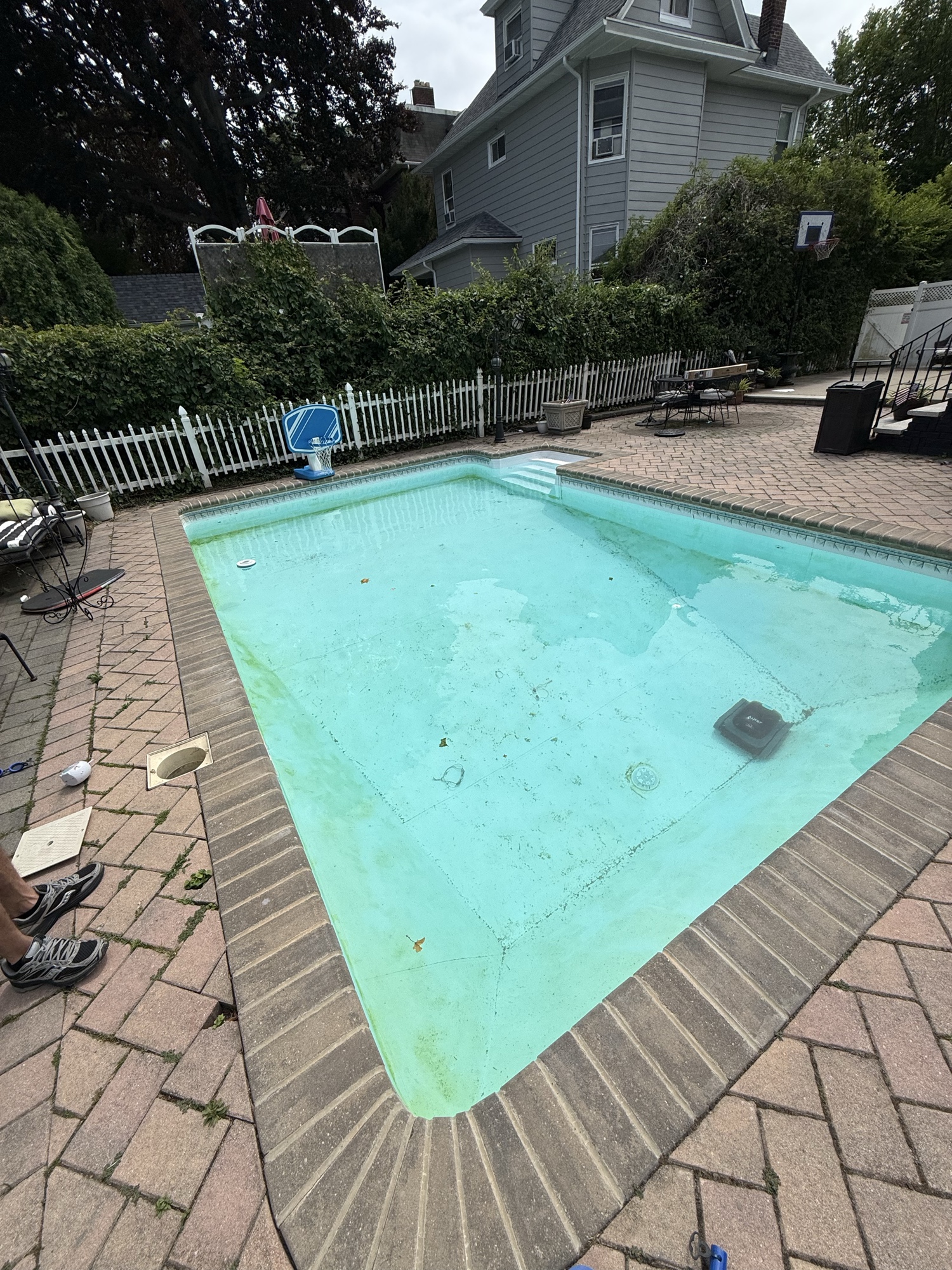 Pool before service - green water